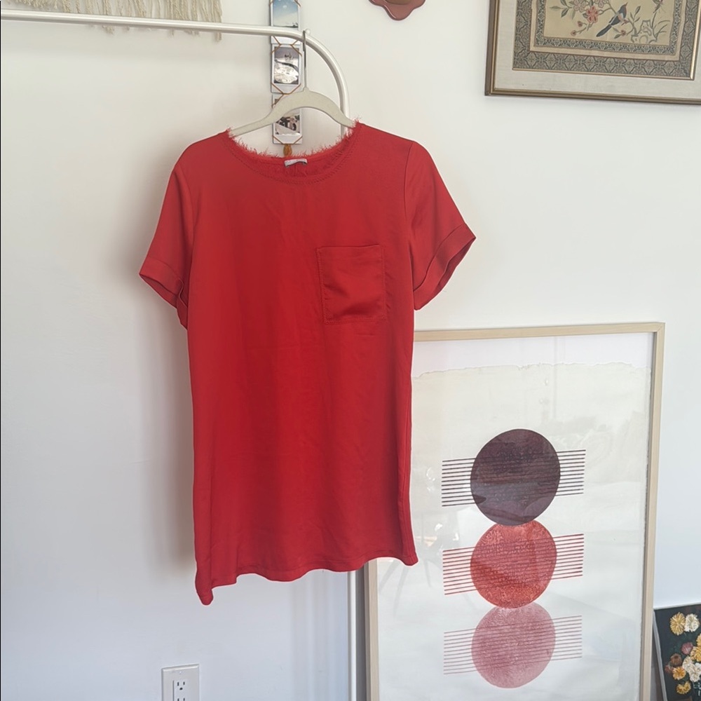 ZARA Red Short Sleeve Dress